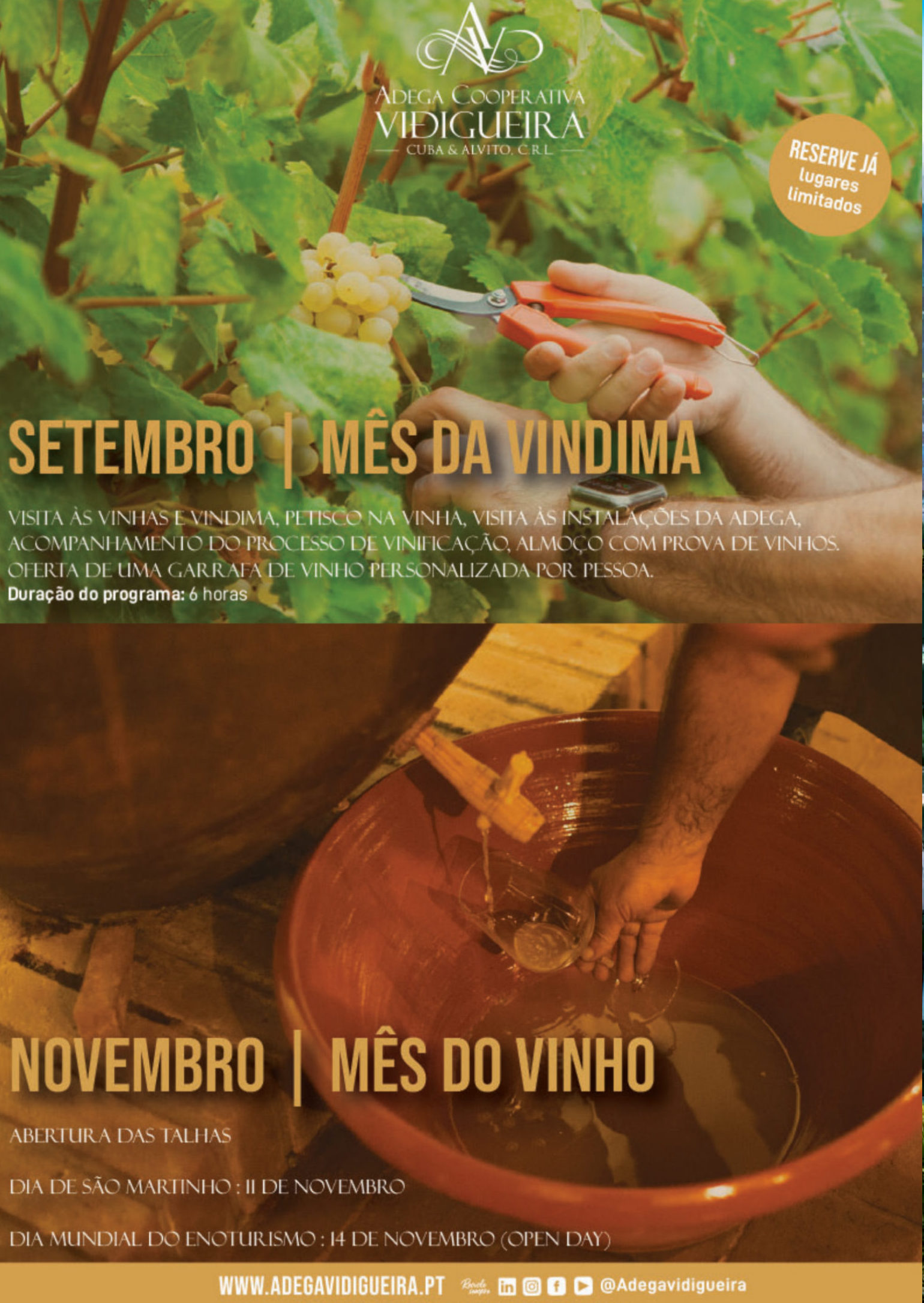 Vidigueira.jpg
